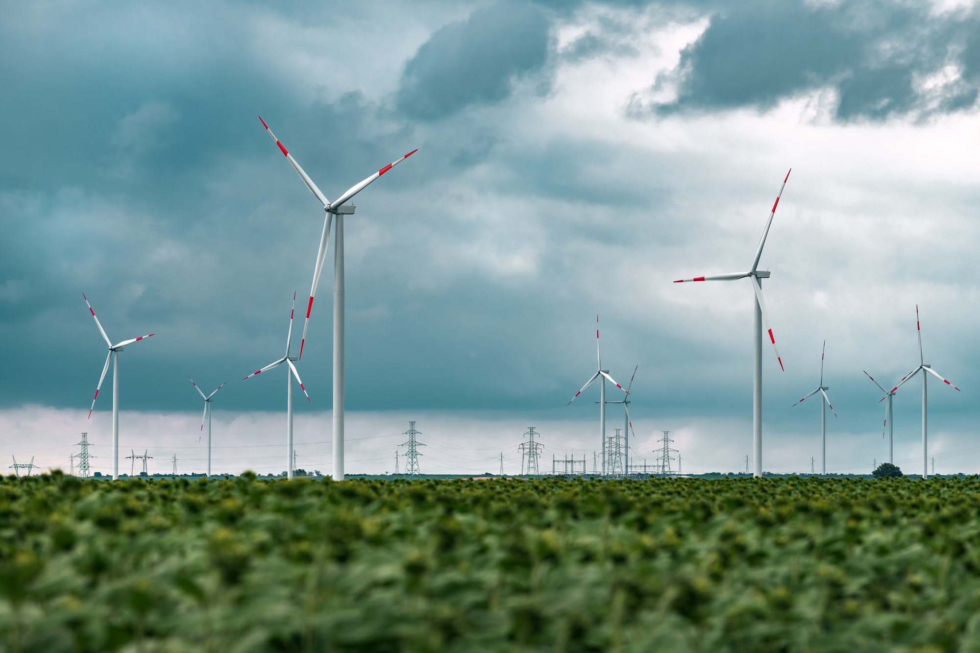 green-energy-concept-with-wind-turbines-in-field.jpg